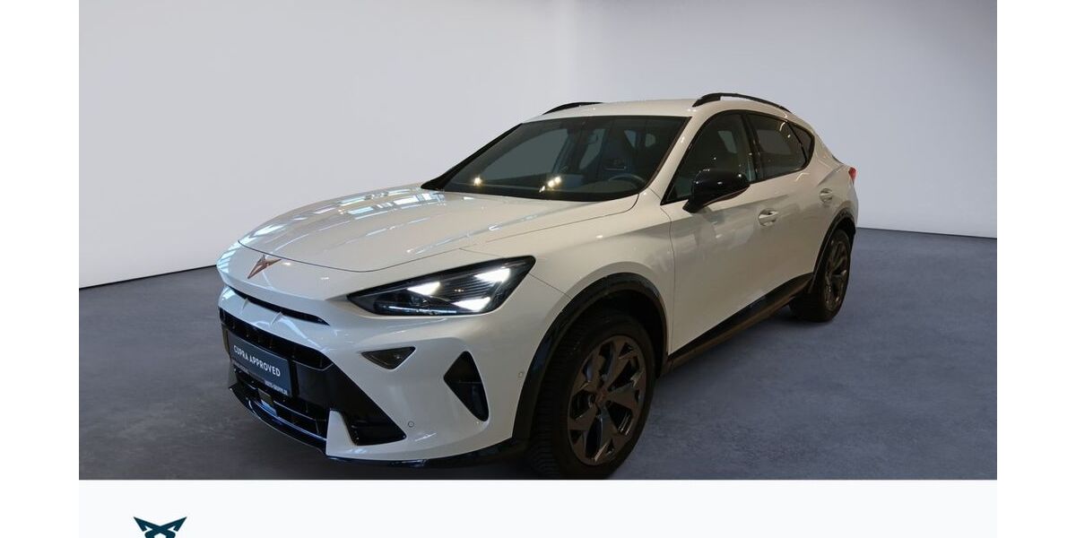 Cupra Formentor 27.690 km 31.475 &euro; Braunschweig 38114