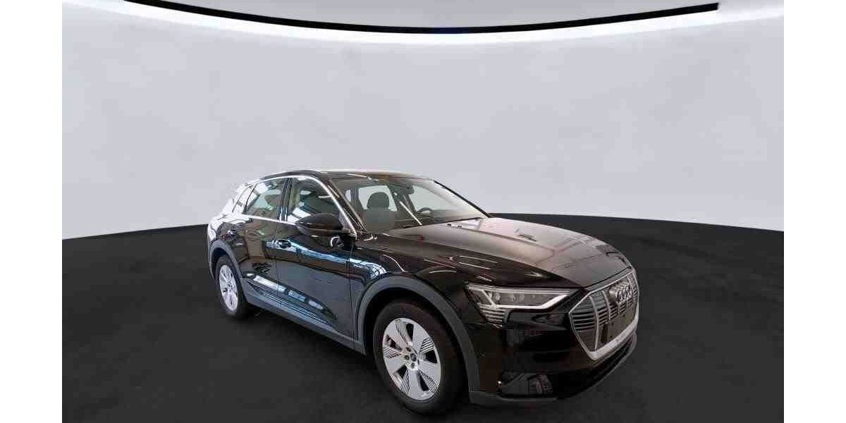 Audi e-tron 7.300 km 31.600 &euro; Salzgitter 38259