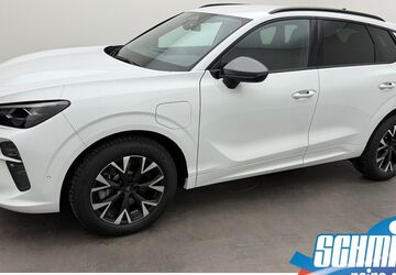 Cupra Terramar 3.760 km 38.200 &euro; Peine 31226