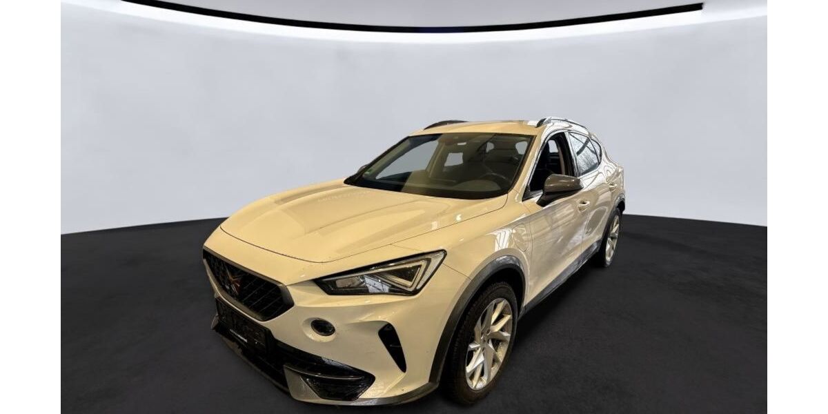 Cupra Formentor 106.780 km 18.890 &euro; Braunschweig 38114