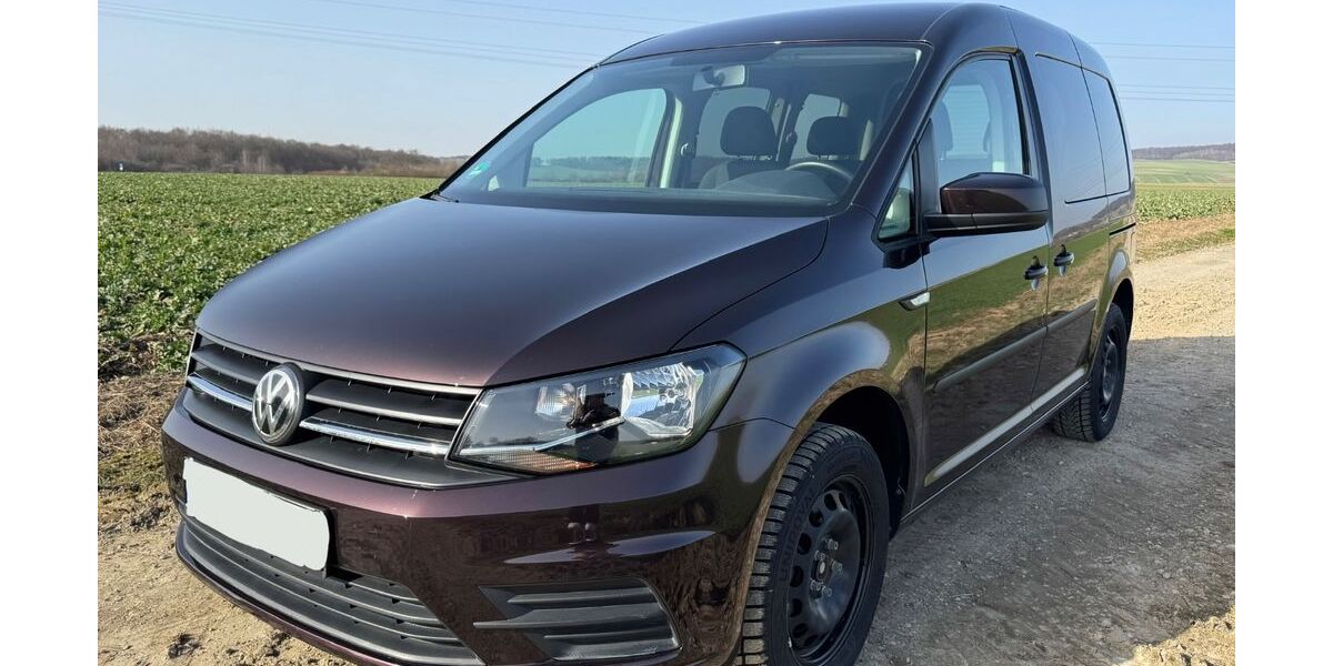 VW Caddy 40.000 km 22.999 &euro; Wolfenbüttel 38300