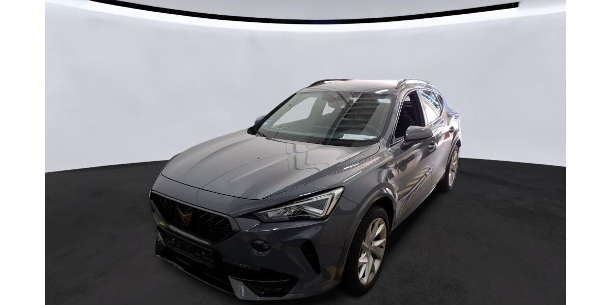 Cupra Formentor 88.450 km 22.990 &euro; Braunschweig 38122