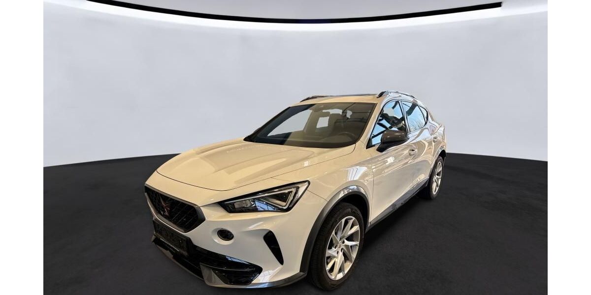 Cupra Formentor 125.250 km 22.990 &euro; Braunschweig 38122
