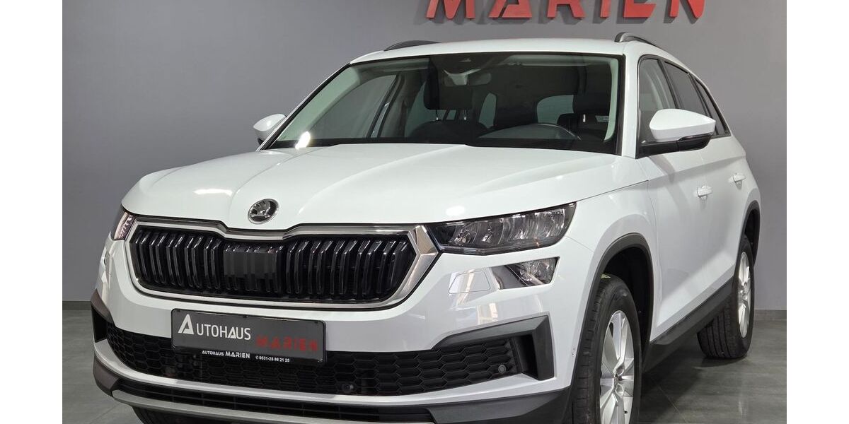 Skoda Kodiaq 118.743 km 24.990 &euro; Braunschweig 38112