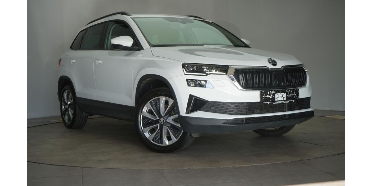 Skoda Karoq 124.000 km 24.490 &euro; Braunschweig 38110