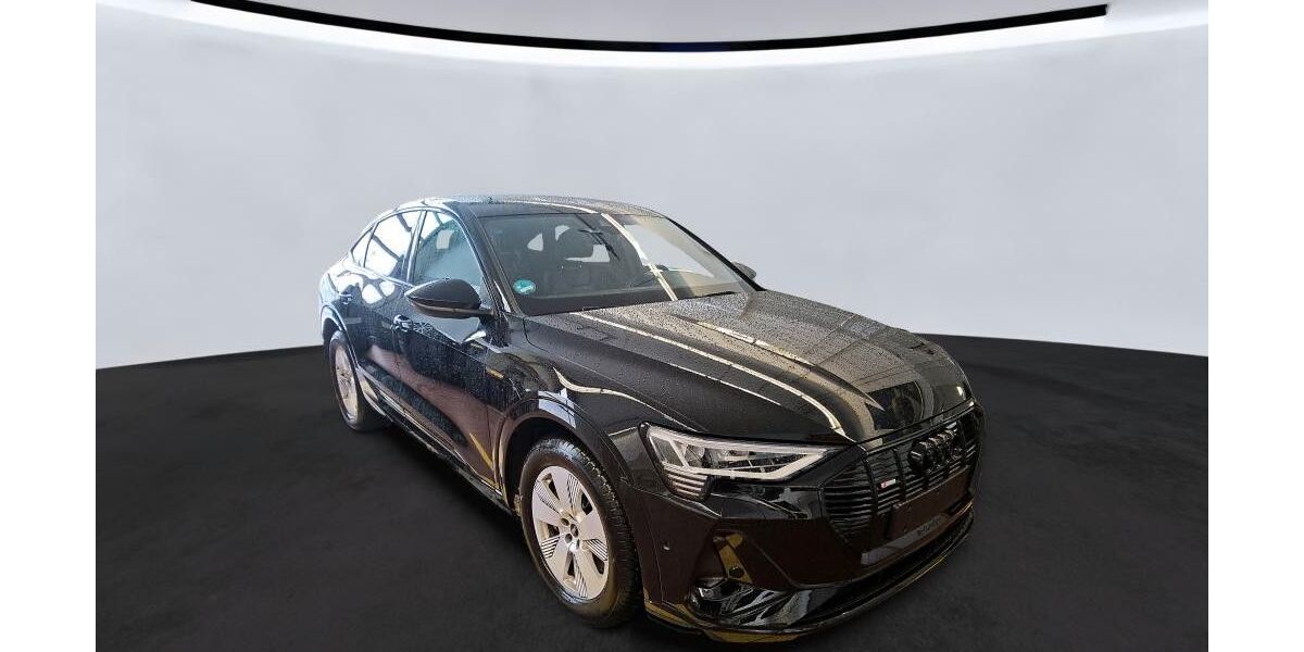 Audi e-tron 30.900 km 38.950 &euro; Salzgitter 38259