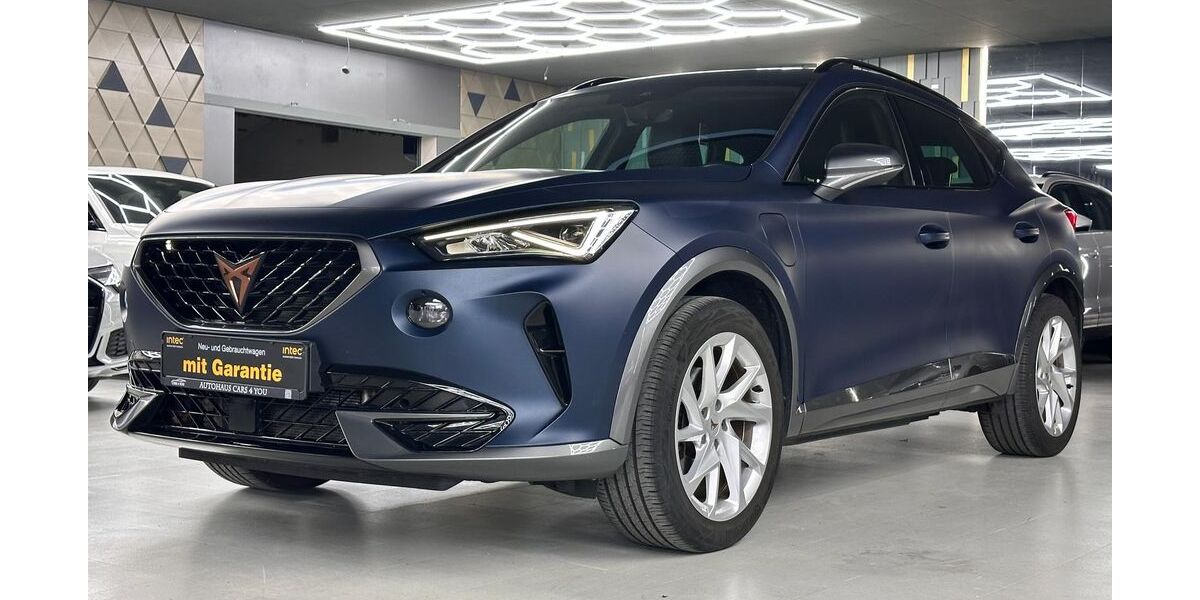 Cupra Formentor 81.350 km 23.990 &euro; Peine 31226