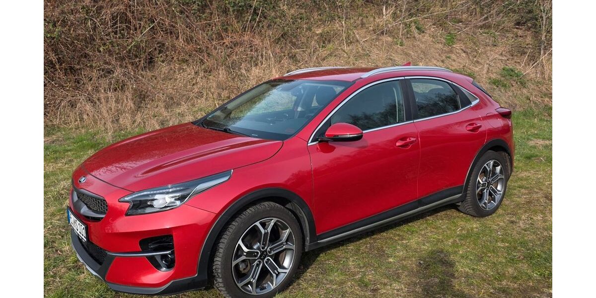 Kia XCeed 96.000 km 13.990 &euro; ILSEDE 31241