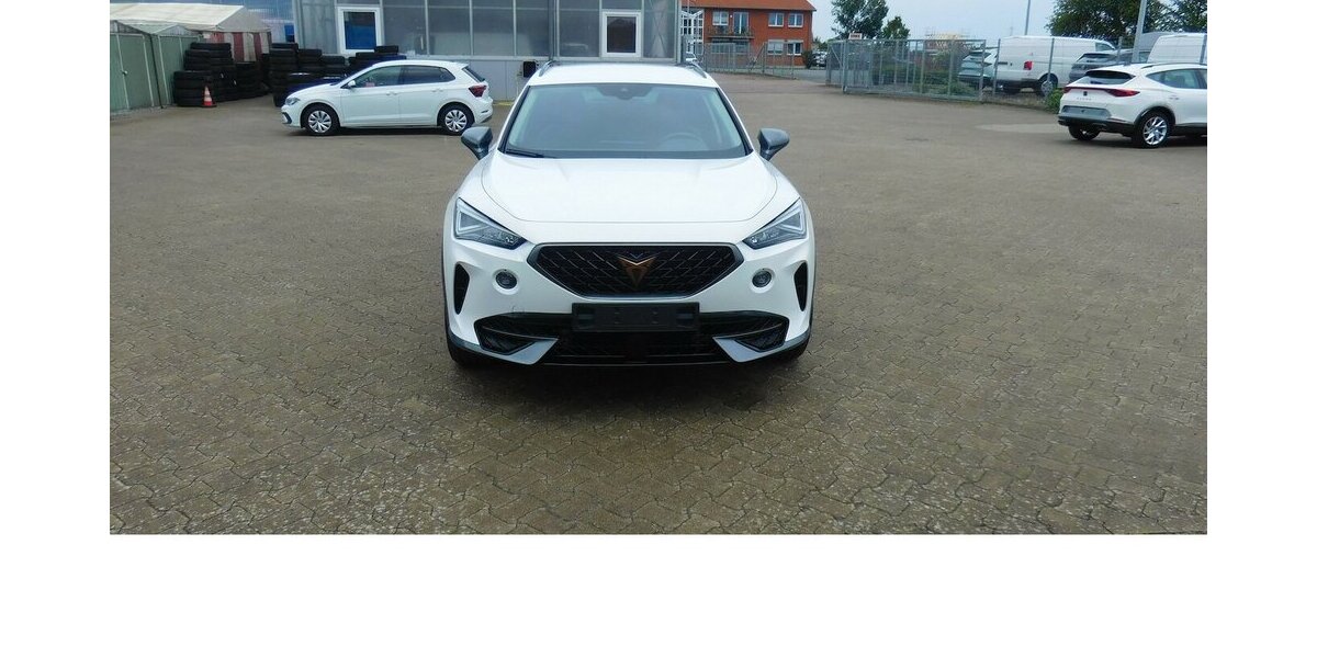 Cupra Formentor 1.5 TSI BMT Klima LED Alu Navi 23.800 km 19.990 &euro; Vordorf 38533