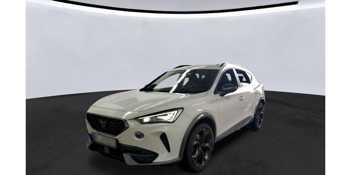Cupra Formentor 162.812 km 19.990 &euro; Braunschweig 38122