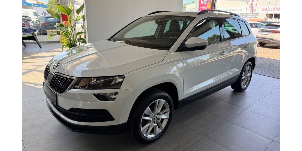 Skoda Karoq 120.000 km 16.790 &euro; Braunschweig 38116