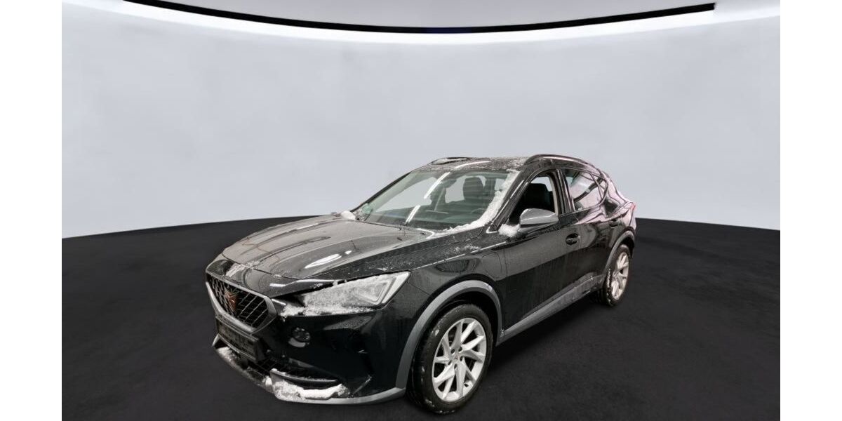 Cupra Formentor 110.580 km 19.890 &euro; Braunschweig 38114