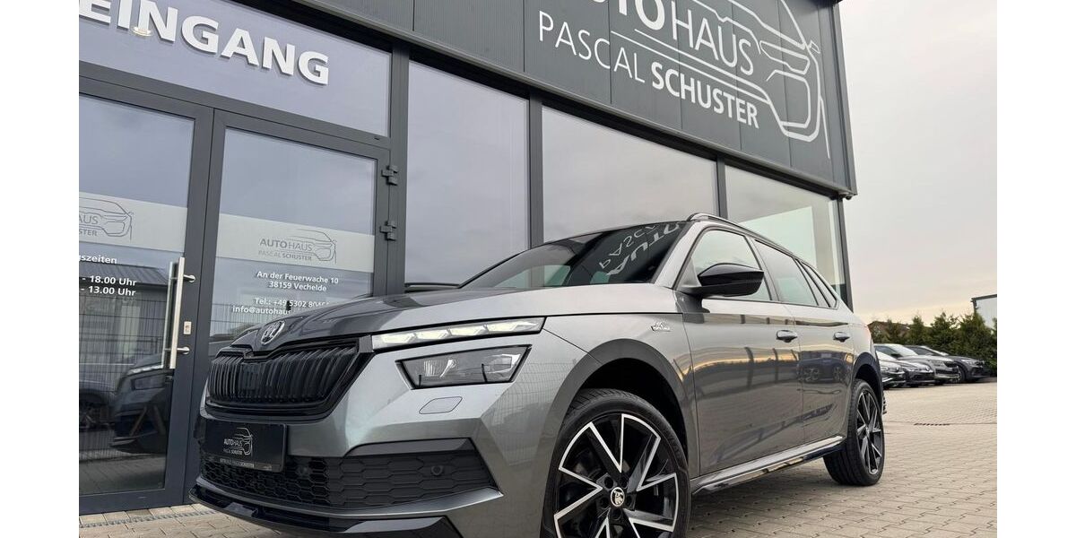 Skoda Kamiq 95.000 km 20.950 &euro; Vechelde 38159