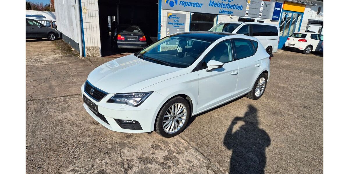 Seat Leon 174.989 km 9.995 &euro; Hillerse 38543