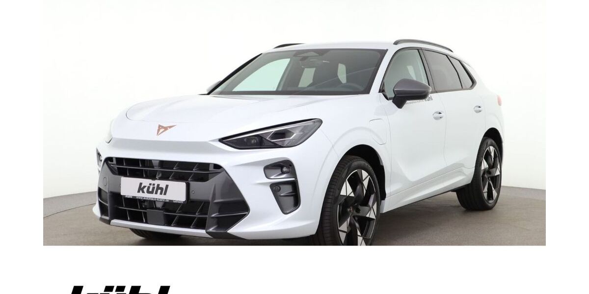 Cupra Terramar 7.000 km 39.780 &euro; Gifhorn 38518