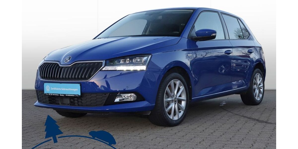 Skoda Fabia 13.500 km 17.490 &euro; Schladen 38315