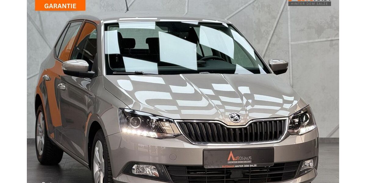 Skoda Fabia 22.000 km 11.950 &euro; Salzgitter 38259