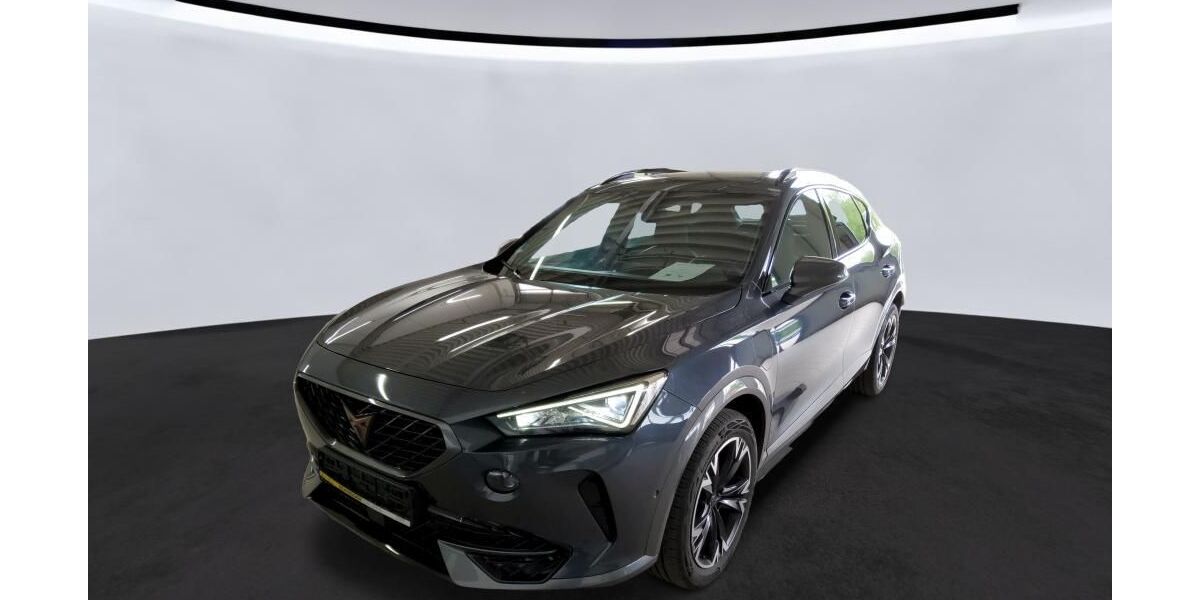 Cupra Formentor 28.338 km 24.990 &euro; Braunschweig 38122