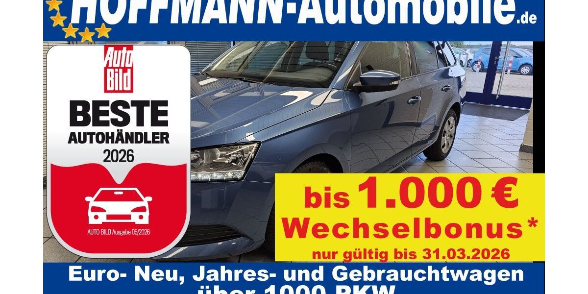Skoda Fabia 93.592 km 12.390 &euro; Wolfsburg-Heiligendorf 38444