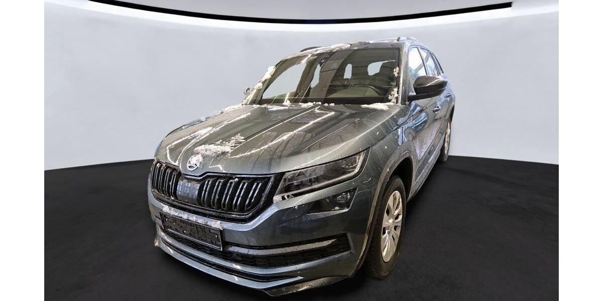 Skoda Kodiaq 227.620 km 20.990 &euro; Braunschweig 38122