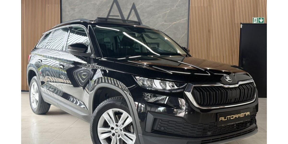 Skoda Kodiaq 160.000 km 22.950 &euro; Salzgitter 38259