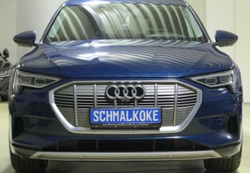 Audi e-tron 42.600 km 29.950 &euro; Braunschweig 38112