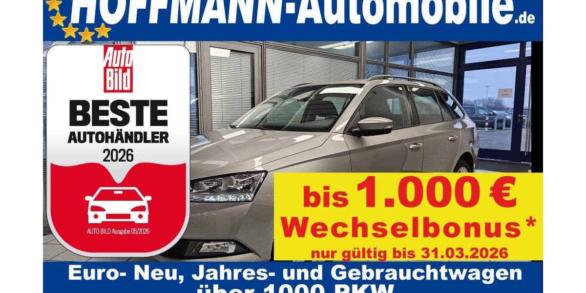 Skoda Fabia 123.062 km 9.400 &euro; Wolfsburg-Heiligendorf 38444